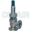 A40Y-64C，A40Y-64I，A40Y-100C，A40Y-100I，帶封閉散熱器彈簧全啟式安全閥