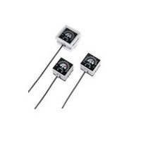 EG110,EG120,EG121,內置電子開(kāi)關(guān)式壓力計