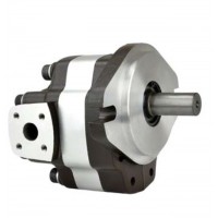 G5-5,G5-6,G5-8,G5-12-1E13S-20-R,G5-10,G5-12,G5-16,G5-30-1E13S-20R，G5-20,G5-25,G5-30,G5-25-A13S-20-R，單聯(lián)齒輪泵