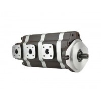 G5-25-20-12-08-1E13S-20L，G5-12-8-6-AH15S-20-L，G5-8-8-10-1E13S-20R,G5-25-10-10-1E13S-20R，多聯(lián)高壓齒輪泵